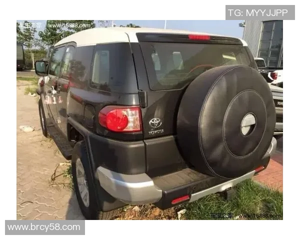 南京排球队以77分稳居洲际杯积分榜首位展现强劲实力 南京排球队以77分稳居洲际杯积分榜首位展现强劲实力