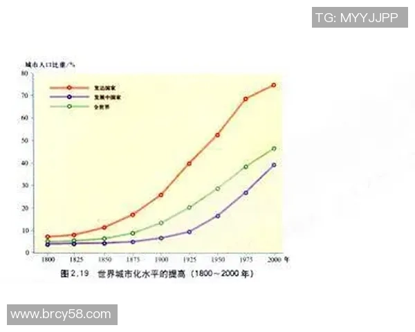 杭州排球队与西安排球队赛后复盘速度对比分析与战术总结