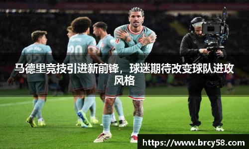 新利体育