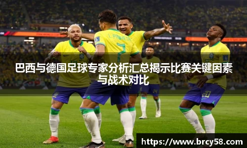 新利体育