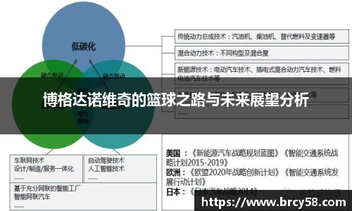 新利体育