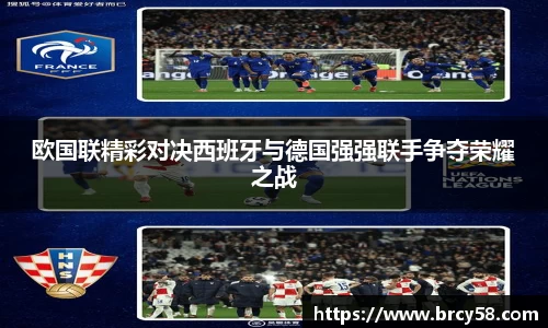 新利体育