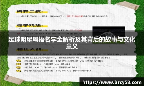 新利体育
