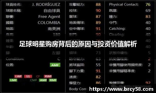 新利体育